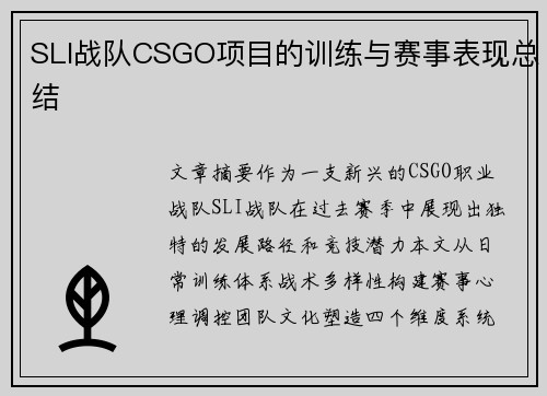 SLI战队CSGO项目的训练与赛事表现总结